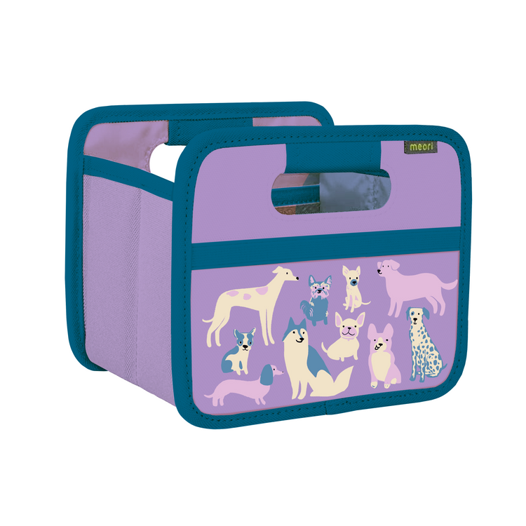 Foldable Box Mini Dog Pack